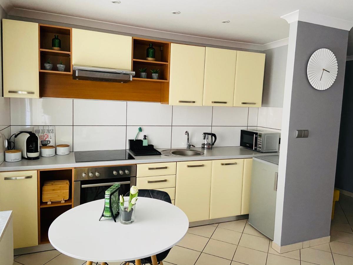 Apartament Na Starowce III 普什奇纳 外观 照片