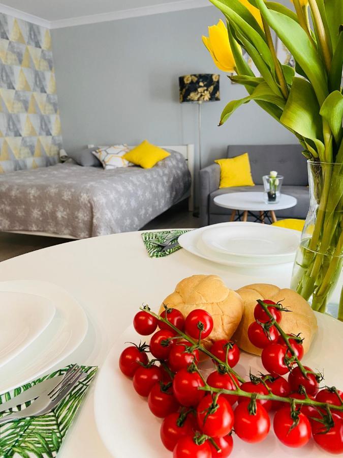 Apartament Na Starowce III 普什奇纳 外观 照片
